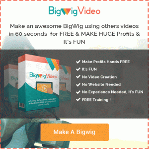 bigwigvideo-bonus